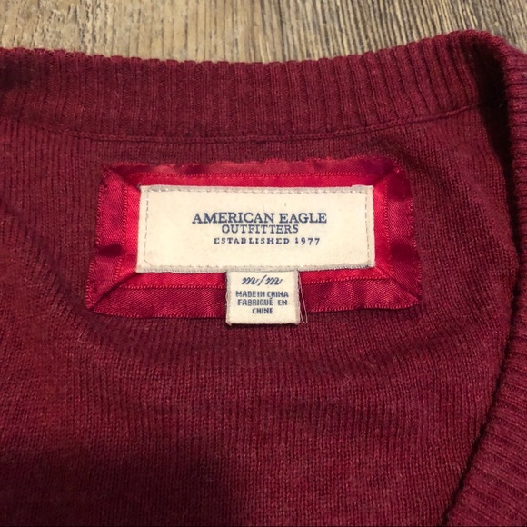 American Eagle cranberry cute medium vneck sweater - Picture 4 of 8